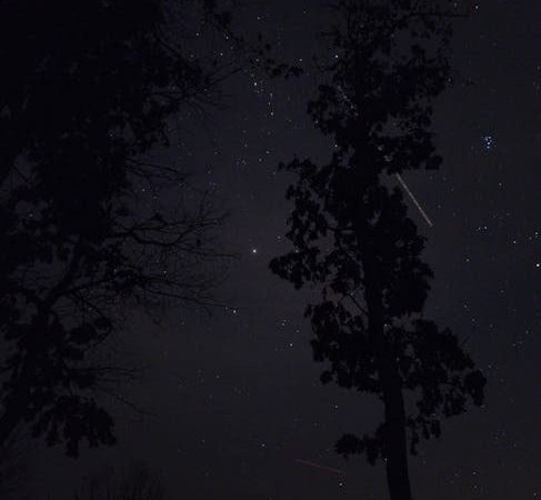 Отзывы пользователей о планетарии SegaToys HomeStar Flux