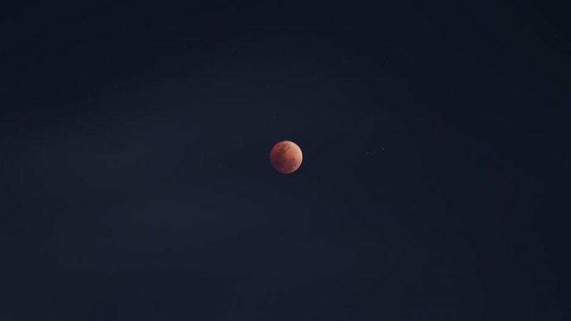 Планетарий Sega HomeStar: как выбрать подходящие диски