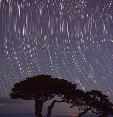 Сравнение астропланетариев с другими проекторами