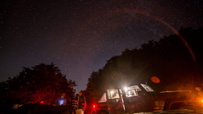 Где купить проектор Star Master в 2025 году