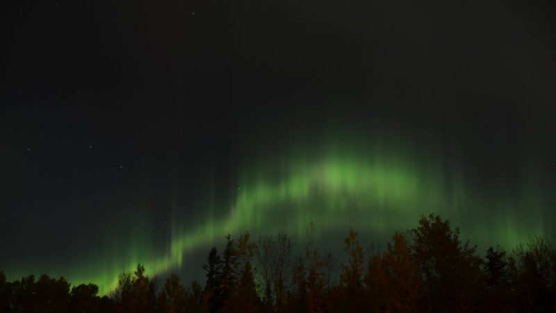 Опыт использования ночников-проекторов: отзывы покупателей